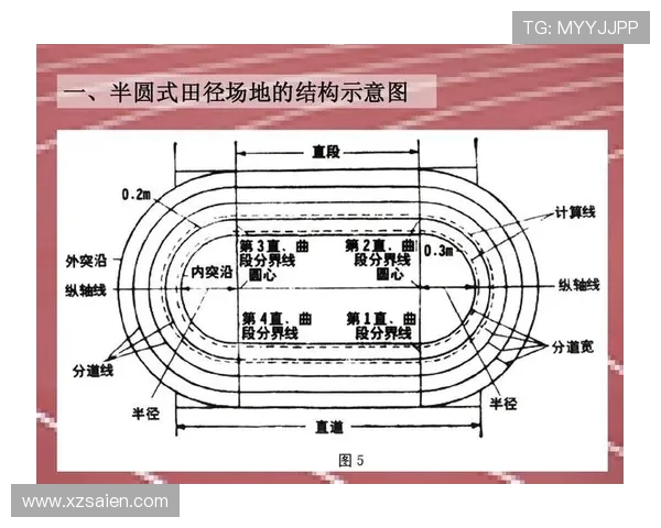 杭州乒乓球队运营模式解析及其在乒乓球热点中的影响与发展