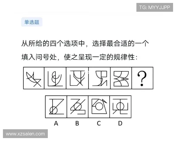 西安排球队中路突破战术解析及其对比赛的影响探讨