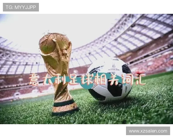 世界杯聚焦:从历史辉煌到未来挑战,探索足球世界的全球盛宴