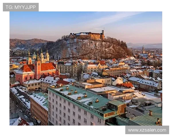 2006年斯诺文尼亚与中国足球友谊赛回顾与分析